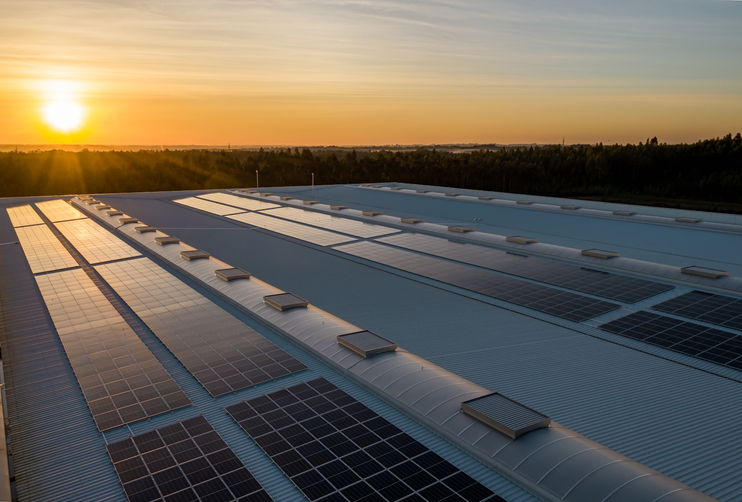 Step-by-Step Guide to Implementing Solar in Schools